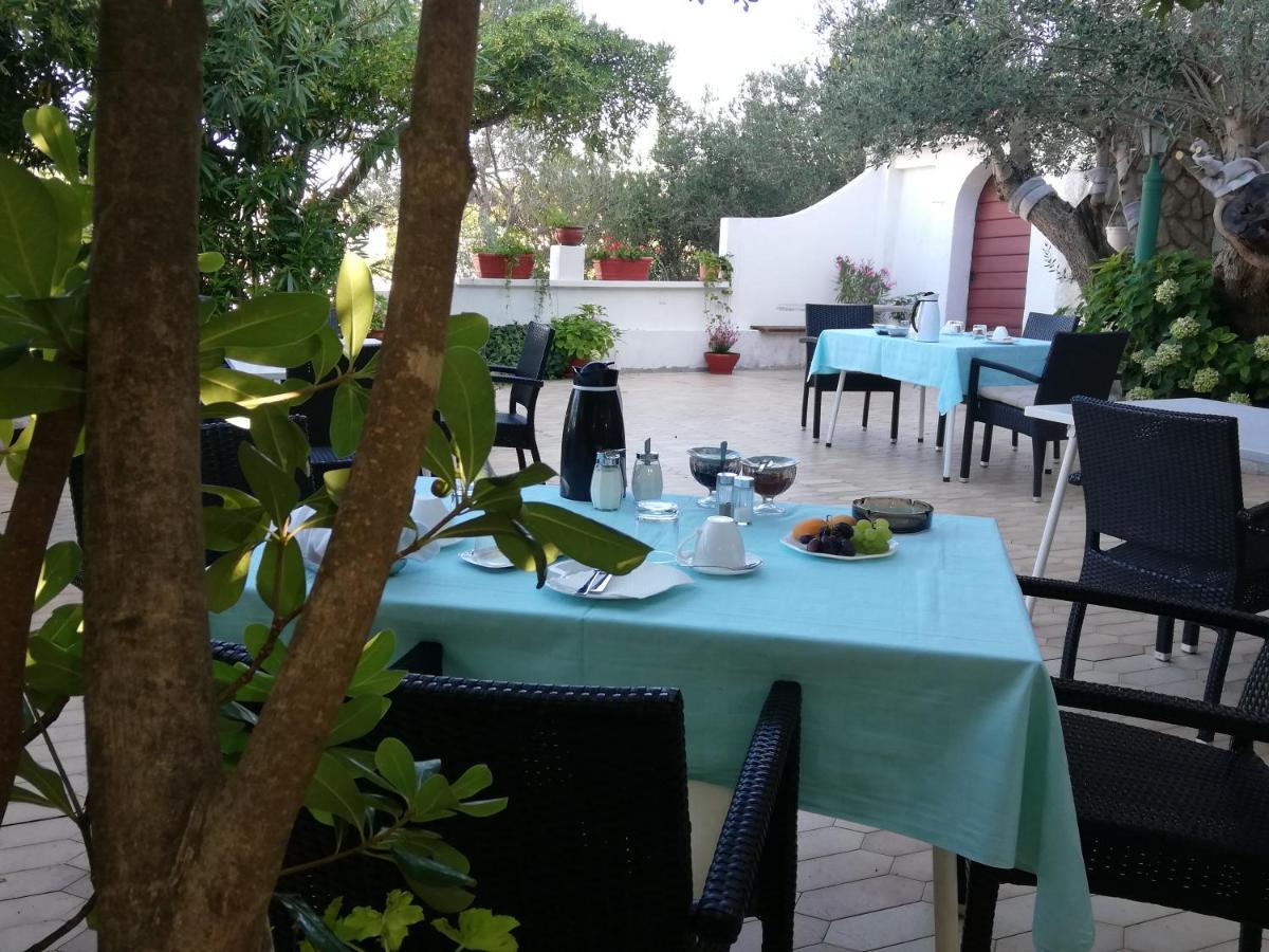 Riviera Rooms And Apartments Palit Exterior foto